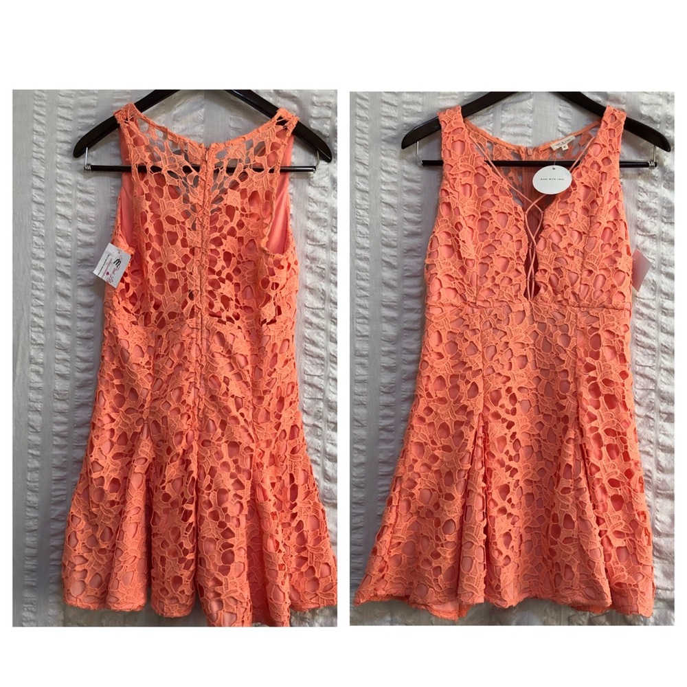 Tea & Cup Fit and Flare Lace Dress
